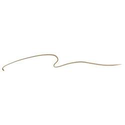 PRECISELY, MY BROW PENCIL